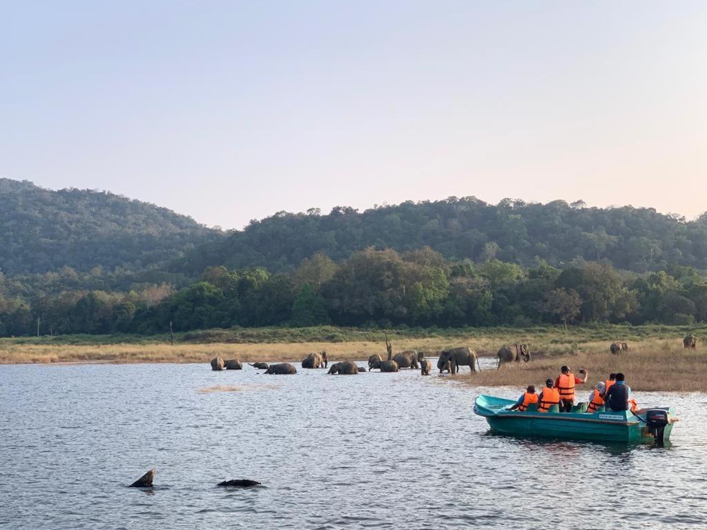 Gal Oya Lake View Inginiyagala Polwatta Екстер'єр фото