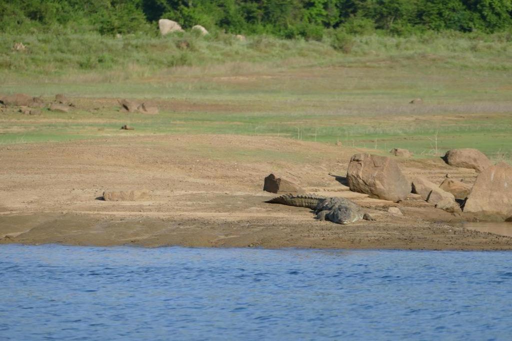 Gal Oya Lake View Inginiyagala Polwatta Екстер'єр фото